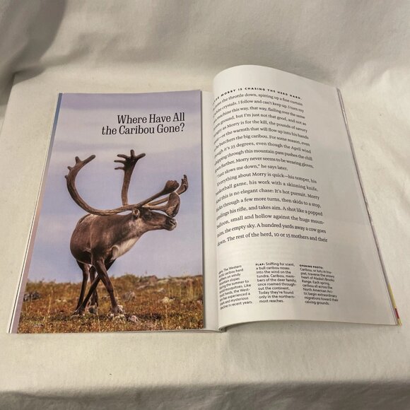 National Geographic December 2023 Pictures Of The Year Spain's Alhambra Caribou - Picture 9 of 10